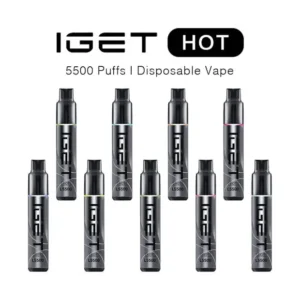 IGET Hot 5500 Puffs – Mystery Flavours