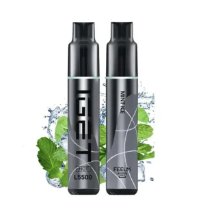 Mint Ice – IGET HOT 5500 Puffs
